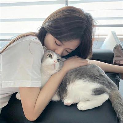 叫春猫