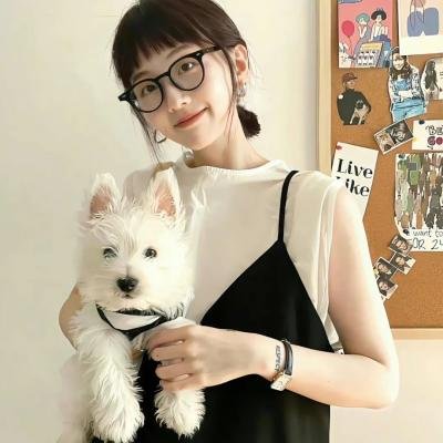 黑猫扎飞